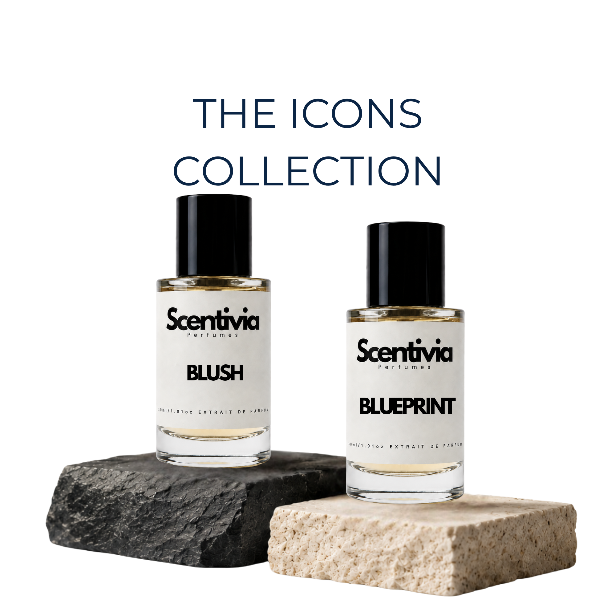 The Icons | Scentivia