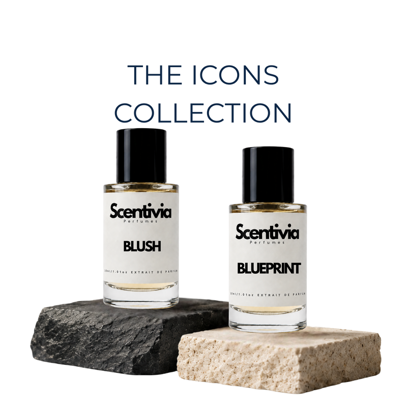 The Icons | Scentivia
